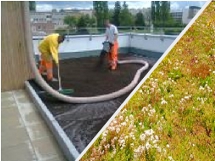 Ec2bi - travaux de végétalisation toiture-terrasse + étanchéité à Dijon